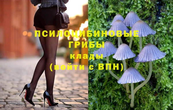 ECSTASY Алексин