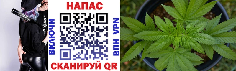 MEGA зеркало  Орехово-Зуево  площадка какой сайт  Каннабис семена 
